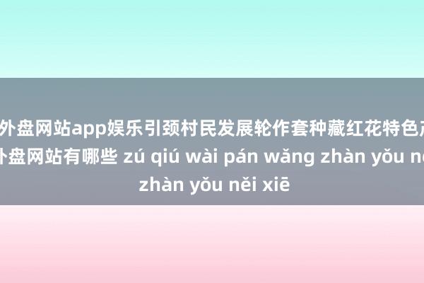 足球外盘网站app娱乐引颈村民发展轮作套种藏红花特色产业-足球外盘网站有哪些 zú qiú wài pán wǎng zhàn yǒu něi xiē