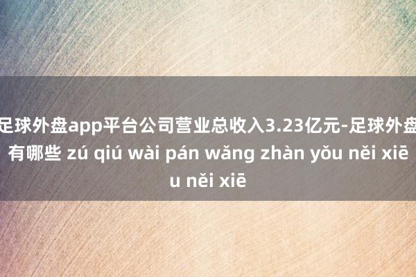 现金足球外盘app平台公司营业总收入3.23亿元-足球外盘网站有哪些 zú qiú wài pán wǎng zhàn yǒu něi xiē