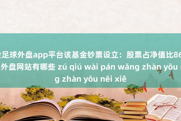 现金足球外盘app平台该基金钞票设立：股票占净值比86.78%-足球外盘网站有哪些 zú qiú wài pán wǎng zhàn yǒu něi xiē