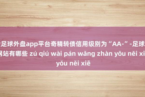 现金足球外盘app平台奇精转债信用级别为“AA-”-足球外盘网站有哪些 zú qiú wài pán wǎng zhàn yǒu něi xiē