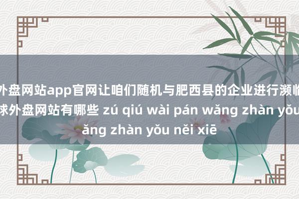 足球外盘网站app官网让咱们随机与肥西县的企业进行濒临面的洽商-足球外盘网站有哪些 zú qiú wài pán wǎng zhàn yǒu něi xiē