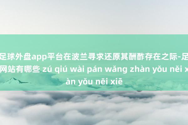 现金足球外盘app平台在波兰寻求还原其酬酢存在之际-足球外盘网站有哪些 zú qiú wài pán wǎng zhàn yǒu něi xiē