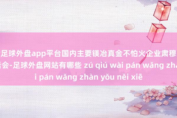 现金足球外盘app平台国内主要镁冶真金不怕火企业肃穆东说念主举行了谈话会-足球外盘网站有哪些 zú qiú wài pán wǎng zhàn yǒu něi xiē