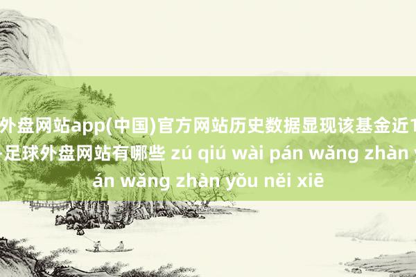 足球外盘网站app(中国)官方网站历史数据显现该基金近1个月高潮0.63%-足球外盘网站有哪些 zú qiú wài pán wǎng zhàn yǒu něi xiē