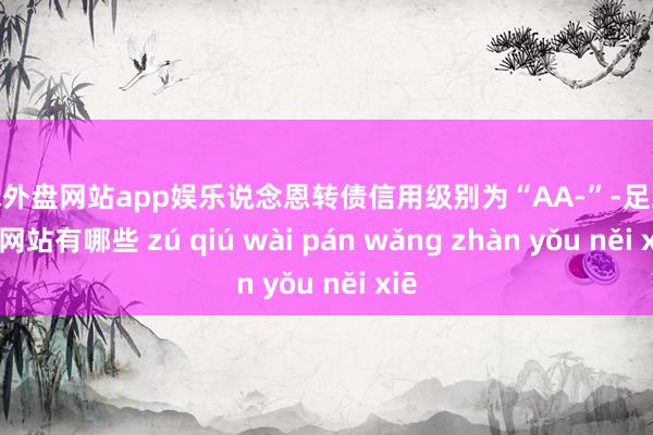 足球外盘网站app娱乐说念恩转债信用级别为“AA-”-足球外盘网站有哪些 zú qiú wài pán wǎng zhàn yǒu něi xiē