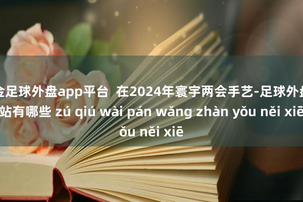 现金足球外盘app平台  在2024年寰宇两会手艺-足球外盘网站有哪些 zú qiú wài pán wǎng zhàn yǒu něi xiē