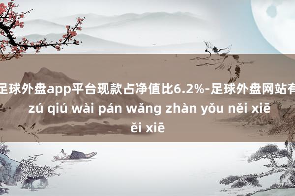 现金足球外盘app平台现款占净值比6.2%-足球外盘网站有哪些 zú qiú wài pán wǎng zhàn yǒu něi xiē