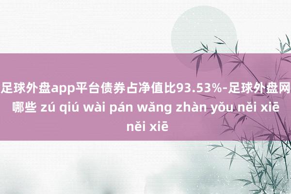 现金足球外盘app平台债券占净值比93.53%-足球外盘网站有哪些 zú qiú wài pán wǎng zhàn yǒu něi xiē