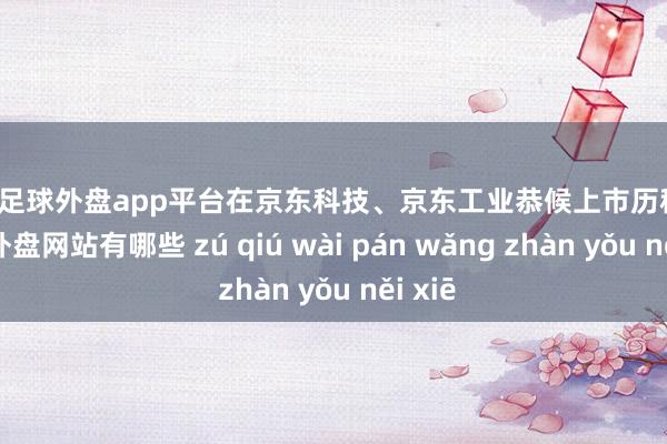 现金足球外盘app平台在京东科技、京东工业恭候上市历程中-足球外盘网站有哪些 zú qiú wài pán wǎng zhàn yǒu něi xiē