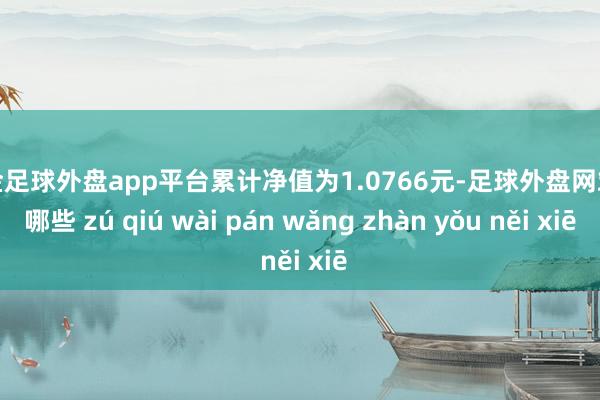 现金足球外盘app平台累计净值为1.0766元-足球外盘网站有哪些 zú qiú wài pán wǎng zhàn yǒu něi xiē